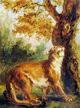 Eugène Delacroix œuvres - puma 1859 Eugène Delacroix